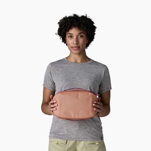Cestovní organizér Patagonia Black Hole Cube 6 l peach sherbet