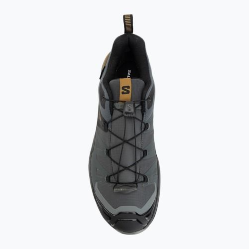 Pánské trekové boty Salomon X Ultra 360 GTX urban chic/black