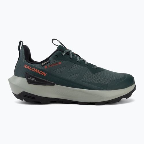 Pánské turistické boty Salomon Elixir Activ GTX scarab/green gable