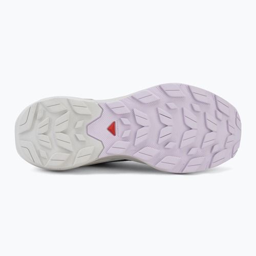 Dámské turistické boty Salomon Elixir Activ GTX shskin/glacier gray/opetal