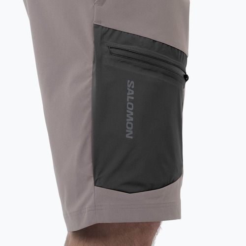 Pánské trekingové šortky Salomon Outerpath Utility iron