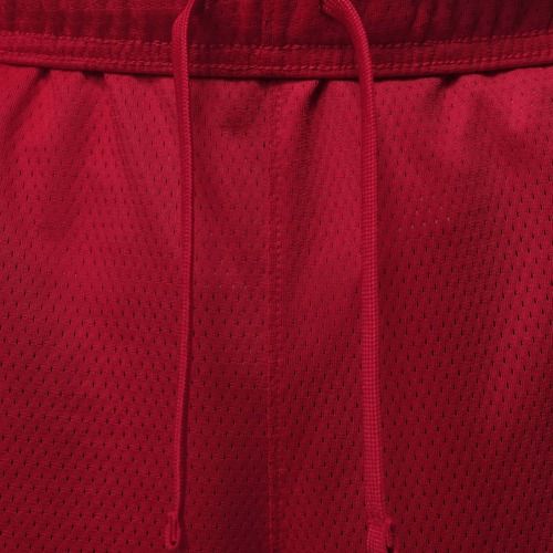 Pánské šortky Jordan Sport Essentials Dri-Fit gym red