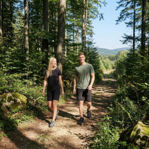 Pánské trekové tričko KADVA TrailCore breathable green