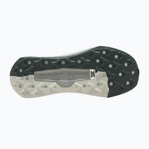Pánské běžecké boty Nike Wildhorse 10 spruce fog/sea glass/black spruce