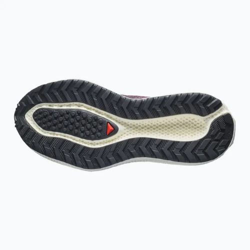 Dámské běžecké boty Salomon Aero Glide 4 GRVL huckleberry/black