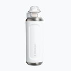 Termo láhev Stanley Classic Wellspring frost