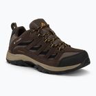 Pánské turistické boty Columbia Crestwood mud/squash
