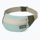 Ledvinka Dakine Classic Hip forest pond