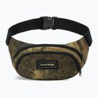 Ledvinka Dakine Hip earth topo