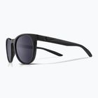 Sluneční brýle  Nike Horizon Ascent black/dark grey