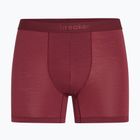 Pánské termo boxerky icebreaker Anatomica Boxers port