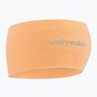 Čelenka icebreaker Merino 200 Oasis Headband feldspar