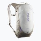 Turistický batoh   Salomon Trailblazer 10 l khaki/glacier gray