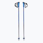 Lyžařské hole Salomon Polar Pro race blue