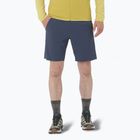 Pánské šortky Salomon Wayfarer Ease blue