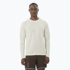 Pánské běžecké tričko longsleeve Salomon SHAKEout Core icicle