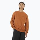 Pánská mikina Salomon Logo Crewneck sierra