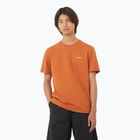 Pánské tričko Salomon Logo Tee sierra