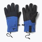 Pánské lyžařské rukavice Columbia PowBound mountain blue / black