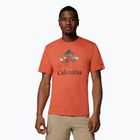 Pánské tričko Columbia Rapid Ridge Graphic tuscan/heavenly