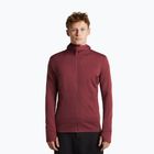 Pánská mikina Icebreaker Merino 260 Quantum IV LS Zip Hoodie port/agate