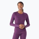 Dámská termoakční mikina Smartwool Merino 250 Baselayer Crew Boxed purple iris heather