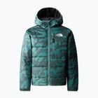 Dětská zimní bunda The North Face Reversible Perrito dark sage rain camo print/black