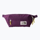 Ledvinka The North Face Berkeley Lumbar black currant purple/yeellow silt