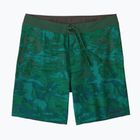 Pánské plavecké šortky  Patagonia Hydropeak Boardshorts cliffs and coves/conifer green