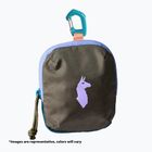 Ledvinka Cotopaxi Allpita Mini of the day