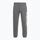 Pánské kalhoty  The North Face Varsity Graphic medium grey heather