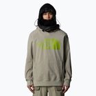 Pánská mikina The North Face Tekno Logo Hoodie clay grey