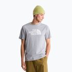 Pánské tričko na lezení The North Face Evolution Half Dome tnf pale grey heather