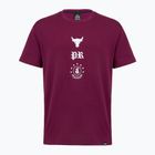 Pánské tréninkové tričko Under Armour Project Rock Terry Q3 purple