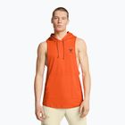 Pánské tréninkové tričko Under Armour Project Rock Payoff SL HD orange