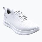 Pánské běžecké boty Under Armour Velociti 4 white/white/white