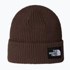 Zimní čepice The North Face Salty Lined