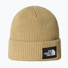 Zimní čepice The North Face Salty Lined