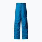 Dětské lyžařské kalhoty The North Face Freedom Insulated dusk blue