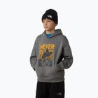 Dětská mikina The North Face Sports Oversized Hoodie Graphic smoked pearl