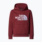 Dětská mikina The North Face Teen Drew Peak Pullover Hoodie sumac