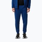 Pánské kalhoty The North Face Mountain Athletics Fleece estate blue/summit navy