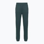 Dámské kalhoty The North Face Mountain Athletics Fleece deep cypress/space