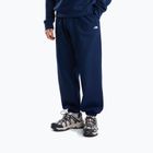 Pánská mikina The North Face Evolution Simple Dome Regular Hoodie summit navy