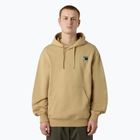 Pánská mikina The North Face Mountain Logo Relaxed Hooded khaki stone