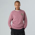 Dámská mikina The North Face Connect Relaxed Crew Graphic nostalgia rose