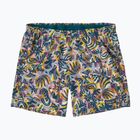 Dámské šortky Patagonia Baggies 5" wild botanist/tidal teal
