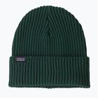 Zimní čepice Patagonia Fishermans Rolled Beanie cascade green