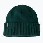 Zimní čepice Patagonia Brodeo Beanie cascade green