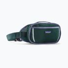 Ledvinka Patagonia Fieldsmith Hip Pack 5 l cascade green